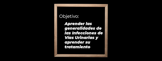 lección  1