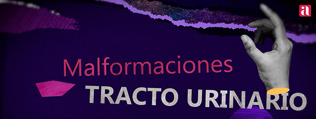 lección  4